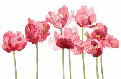 Pink Flower
