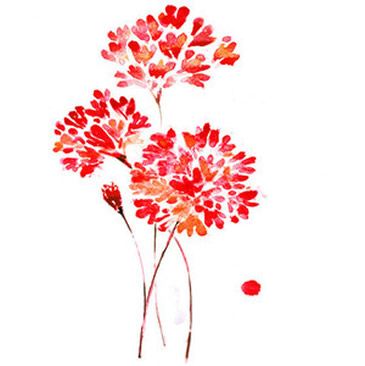 Red Flower